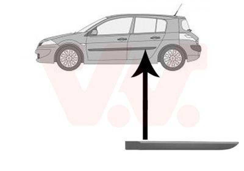 VAN WEZEL Trim/Protective Strip, door