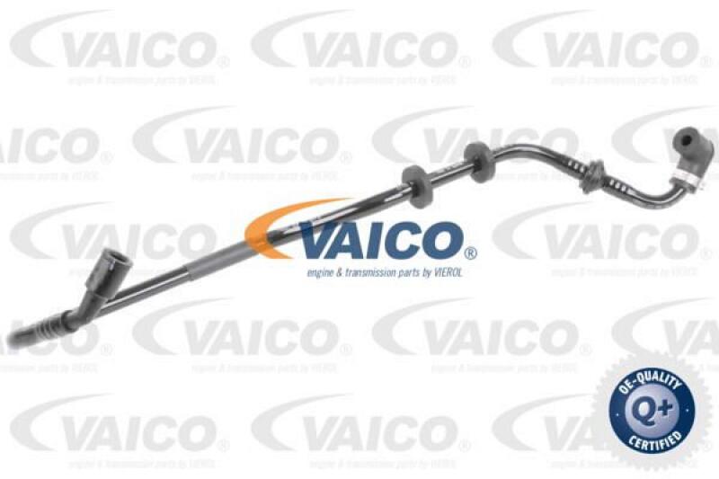 VAICO Unterdruckschlauch, Bremsanlage Q+, Erstausrüsterqualität