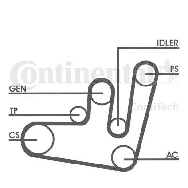 CONTITECH Keilrippenriemensatz