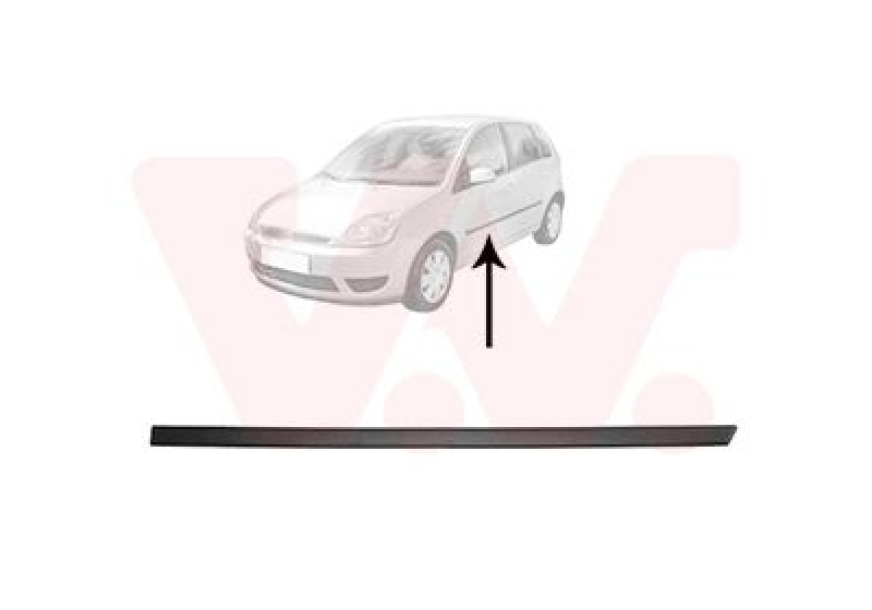 VAN WEZEL Trim/Protective Strip, door