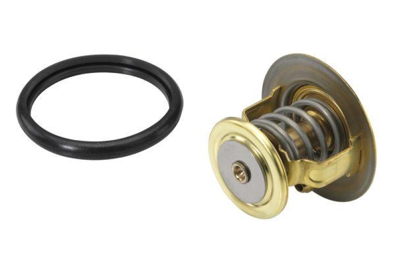 BorgWarner (Wahler) Thermostat für Kühlmittel / Kühlerthermostat