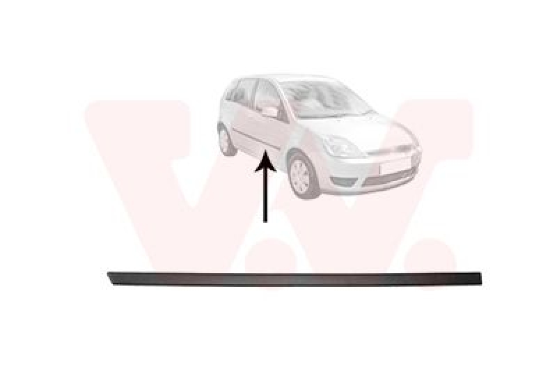 VAN WEZEL Trim/Protective Strip, door