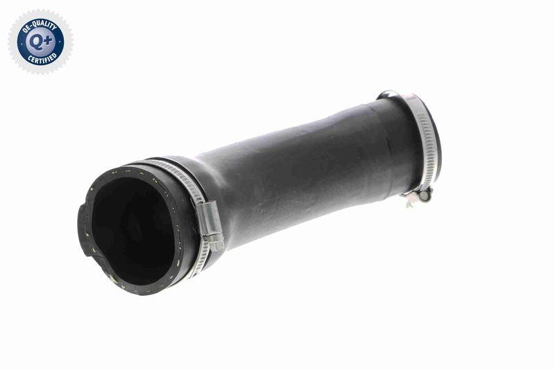 VAICO Charger Air Hose Q+, original equipment manufacturer quality