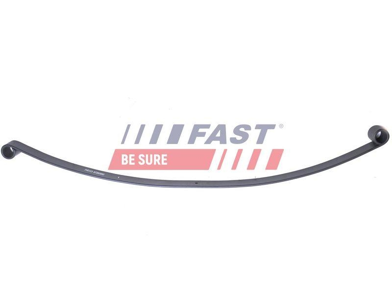 FAST Spring Leaf