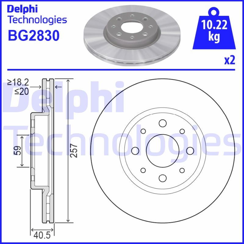 2x DELPHI Bremsscheibe