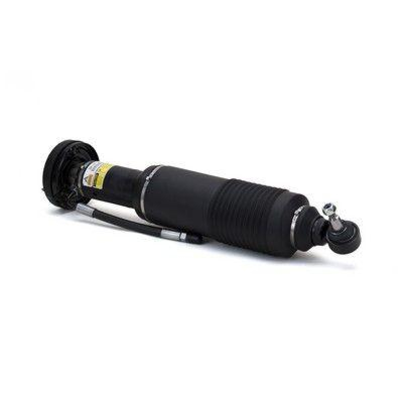 Arnott Air Spring Strut