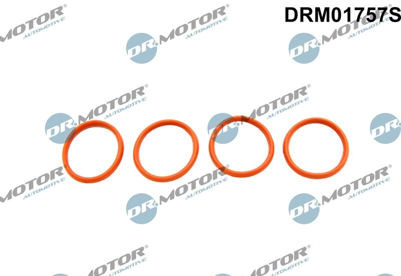 Dr.Motor Automotive Dichtungssatz, Ansaugkr&uuml;mmer