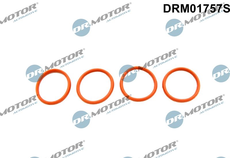 Dr.Motor Automotive Gasket Set, intake manifold