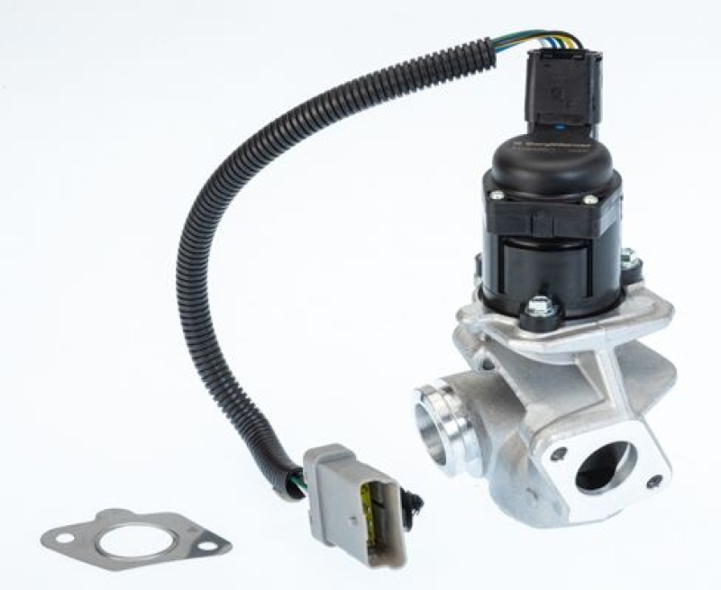 BorgWarner (Wahler) AGR-Ventil