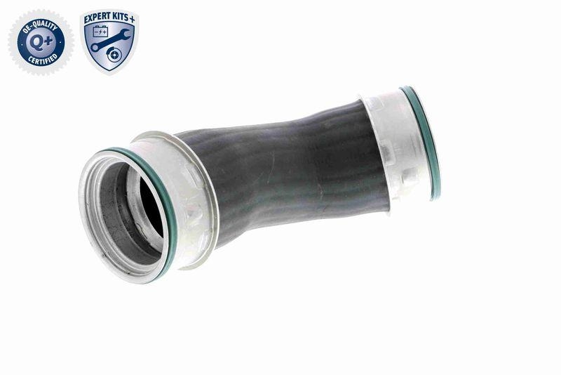 VAICO Charger Air Hose Q+, original equipment manufacturer quality