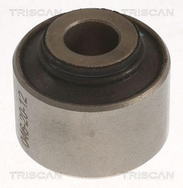 TRISCAN Lagerung, Lenker