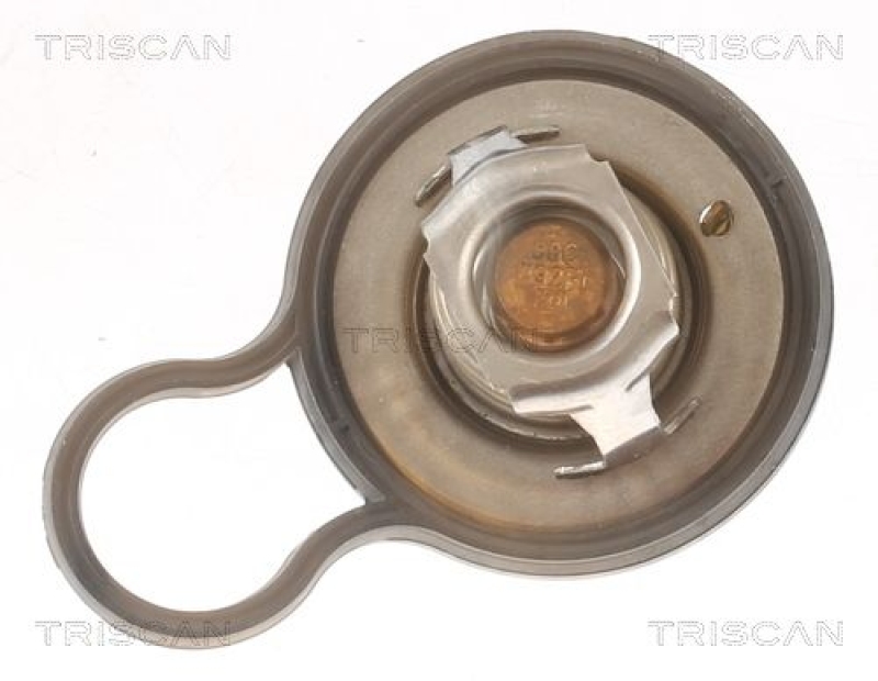 TRISCAN Thermostat f&uuml;r K&uuml;hlmittel / K&uuml;hlerthermostat