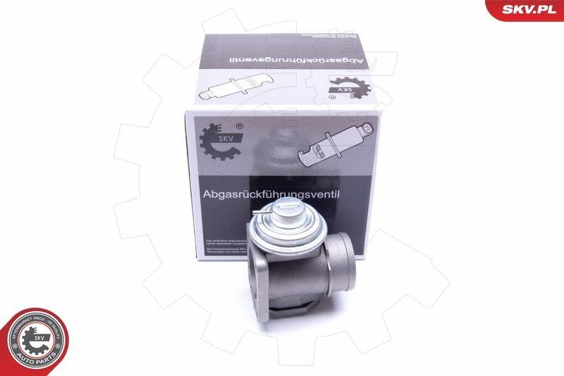 ESEN SKV AGR-Ventil