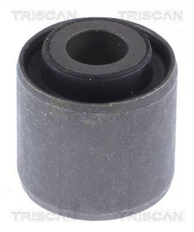 TRISCAN Lagerung, Lenker 8500 16873