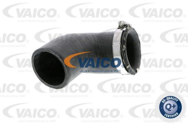 VAICO Charger Air Hose Q+, original equipment manufacturer quality