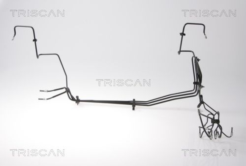 TRISCAN Brake Hose