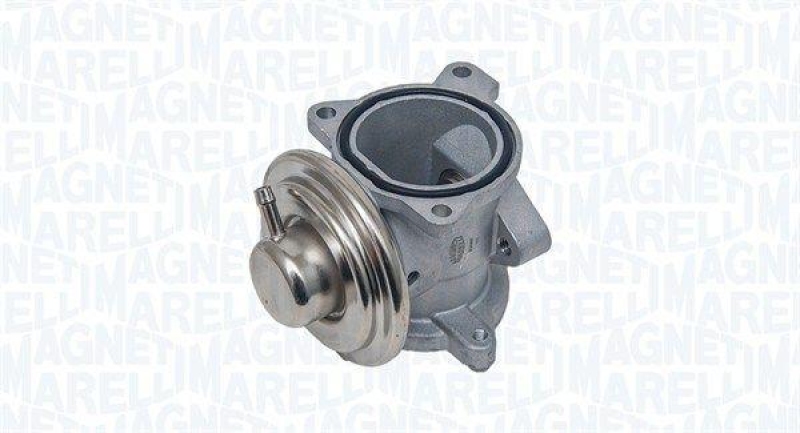 MAGNETI MARELLI EGR Valve