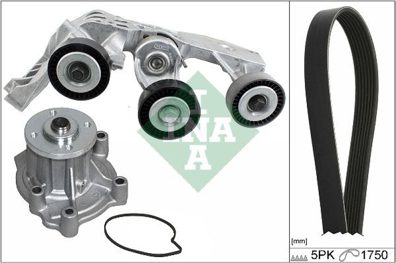 INA Water Pump + V-Ribbed Belt Set
