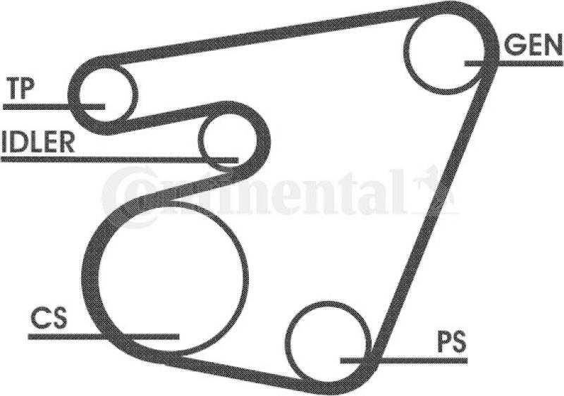 CONTITECH Keilrippenriemensatz