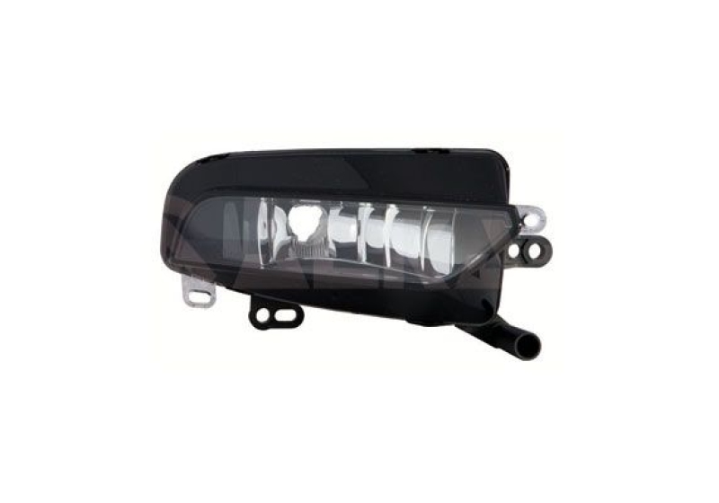 Fog Light