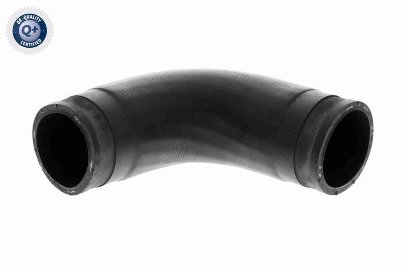 VAICO Charger Air Hose Q+, original equipment manufacturer quality