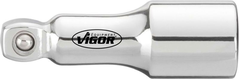 VIGOR Extension, sockets