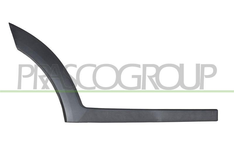 PRASCO Zier-/Schutzleiste, T&uuml;r HN8061453