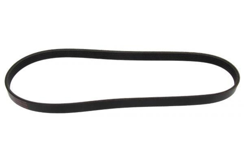 MAPCO V-Ribbed Belt