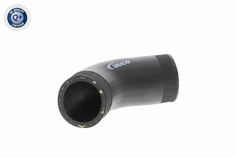 VAICO Charger Air Hose Q+, original equipment manufacturer quality