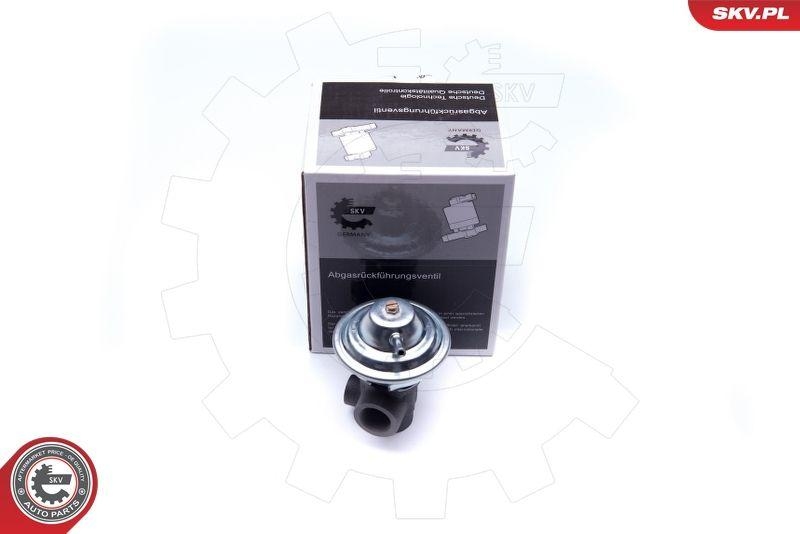 ESEN SKV AGR-Ventil