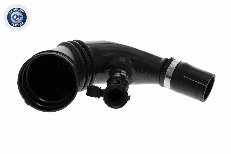VAICO Ladeluftschlauch Q+, Erstausrüsterqualität