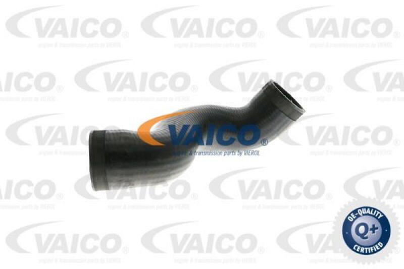 VAICO Ladeluftschlauch Q+, Erstausr&uuml;sterqualit&auml;t V10-2893