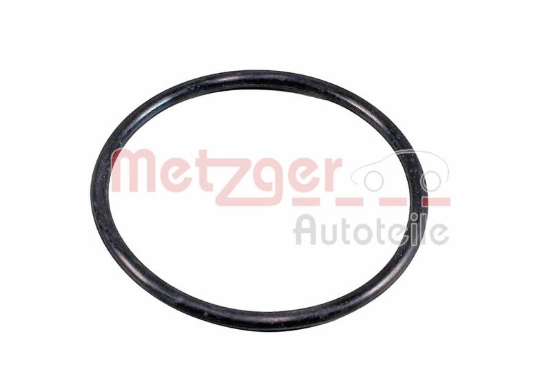 METZGER Seal, thermostat