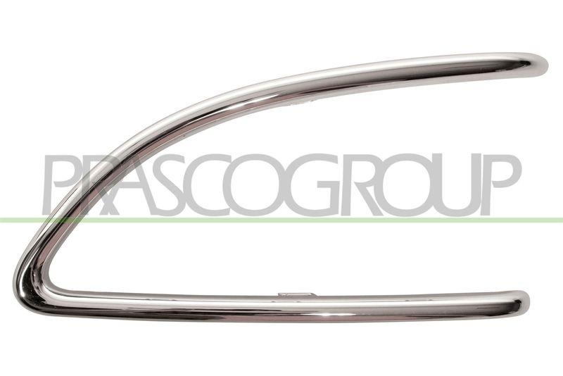 Trim/Protective Strip, bumper