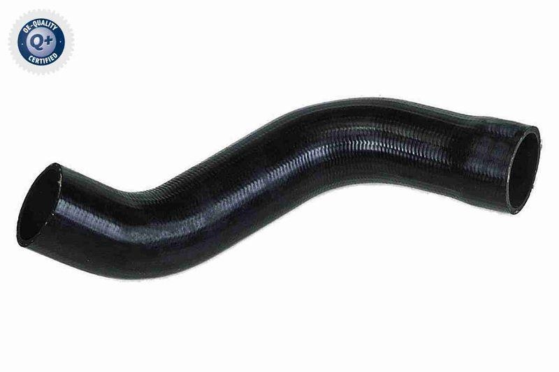 VAICO Charger Air Hose Q+, original equipment manufacturer quality