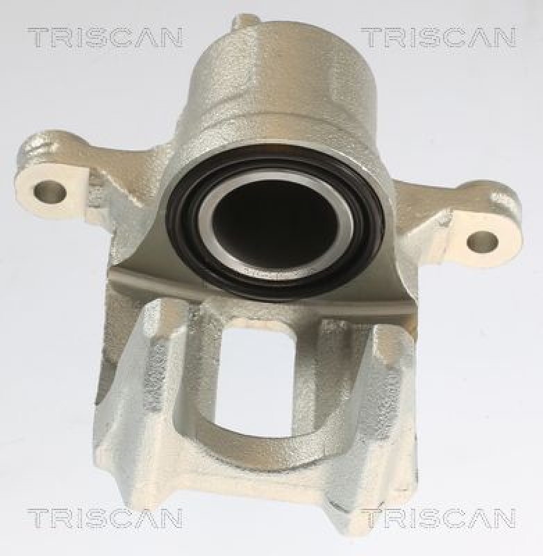 TRISCAN Bremssattel 8175 40202