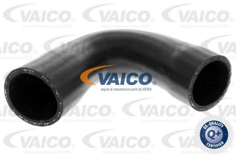 VAICO Charger Air Hose Q+, original equipment manufacturer quality