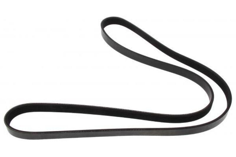 MAPCO V-Ribbed Belt