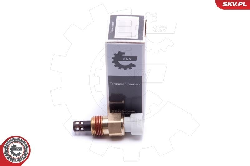 ESEN SKV Sensor, Ansauglufttemperatur