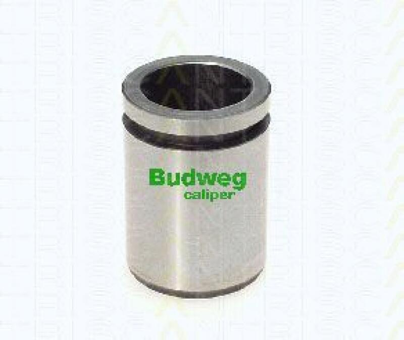 TRISCAN Piston, brake caliper
