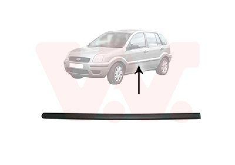 VAN WEZEL Trim/Protective Strip, door