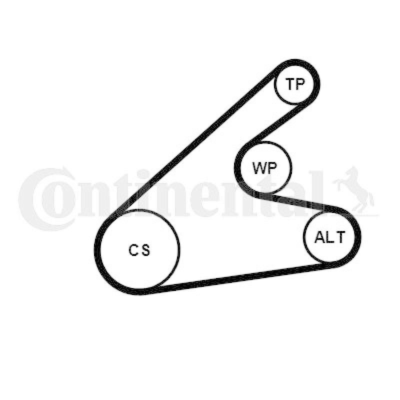 CONTINENTAL CTAM Wasserpumpe + Keilrippenriemensatz