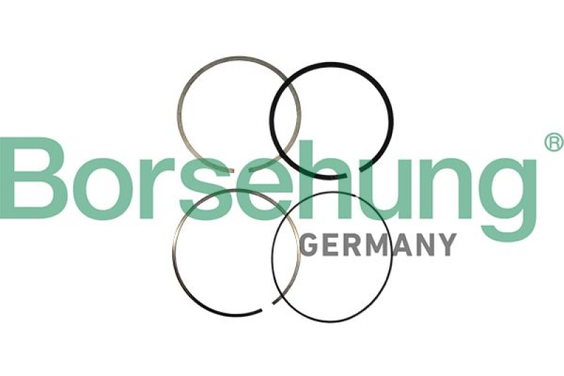Borsehung Piston Ring Kit