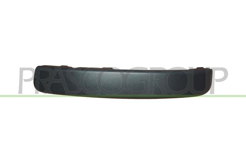 Trim/Protective Strip, bumper Premium