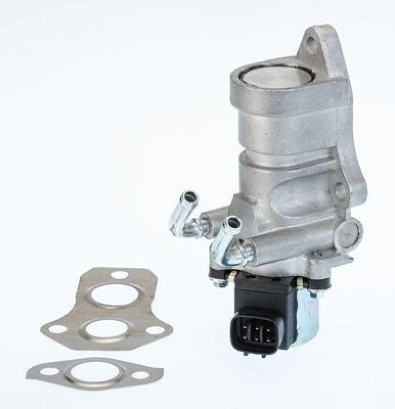 BorgWarner (Wahler) AGR-Ventil