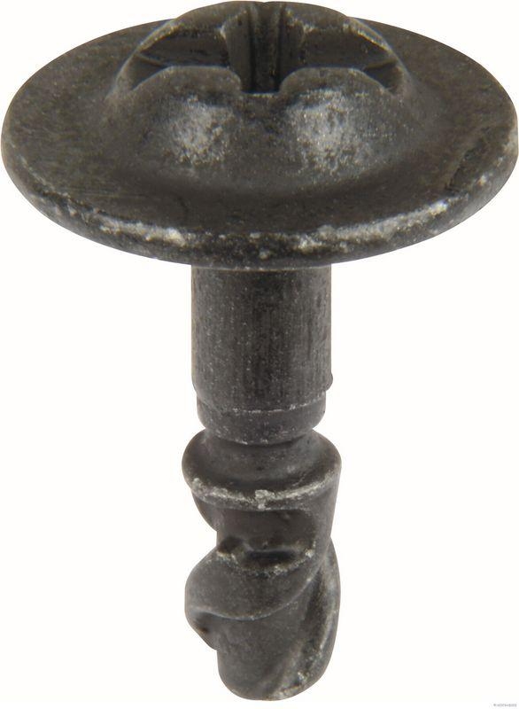 HERTH+BUSS ELPARTS Clip, Zier-/Schutzleiste 50267397