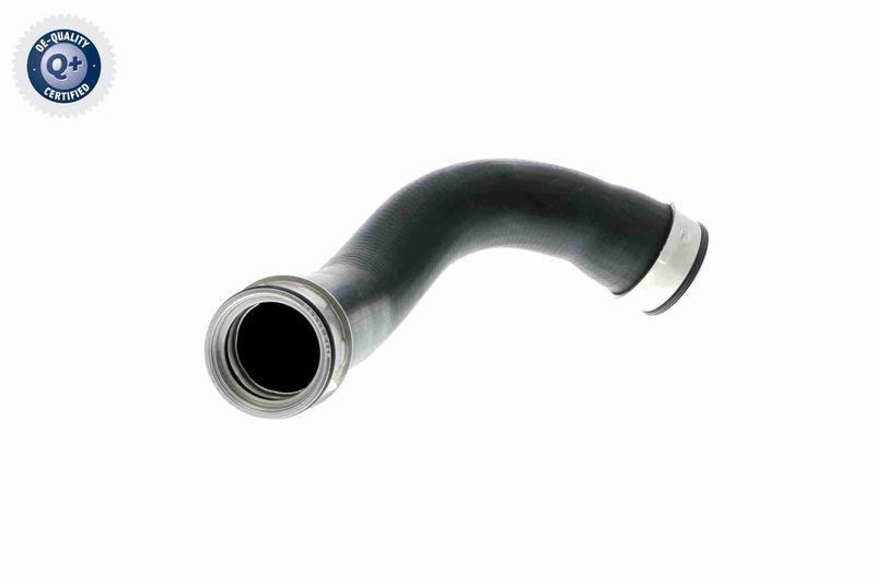 VAICO Charger Air Hose Q+, original equipment manufacturer quality