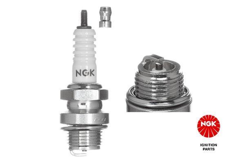 NGK Spark Plug