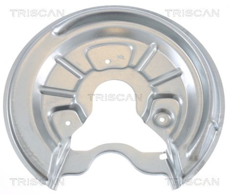 TRISCAN Splash Panel, brake disc