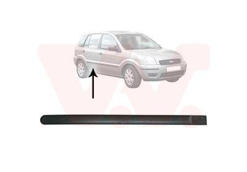 VAN WEZEL Trim/Protective Strip, door